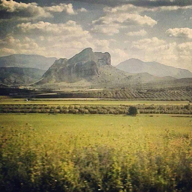Mesón El Número Uno Antequera